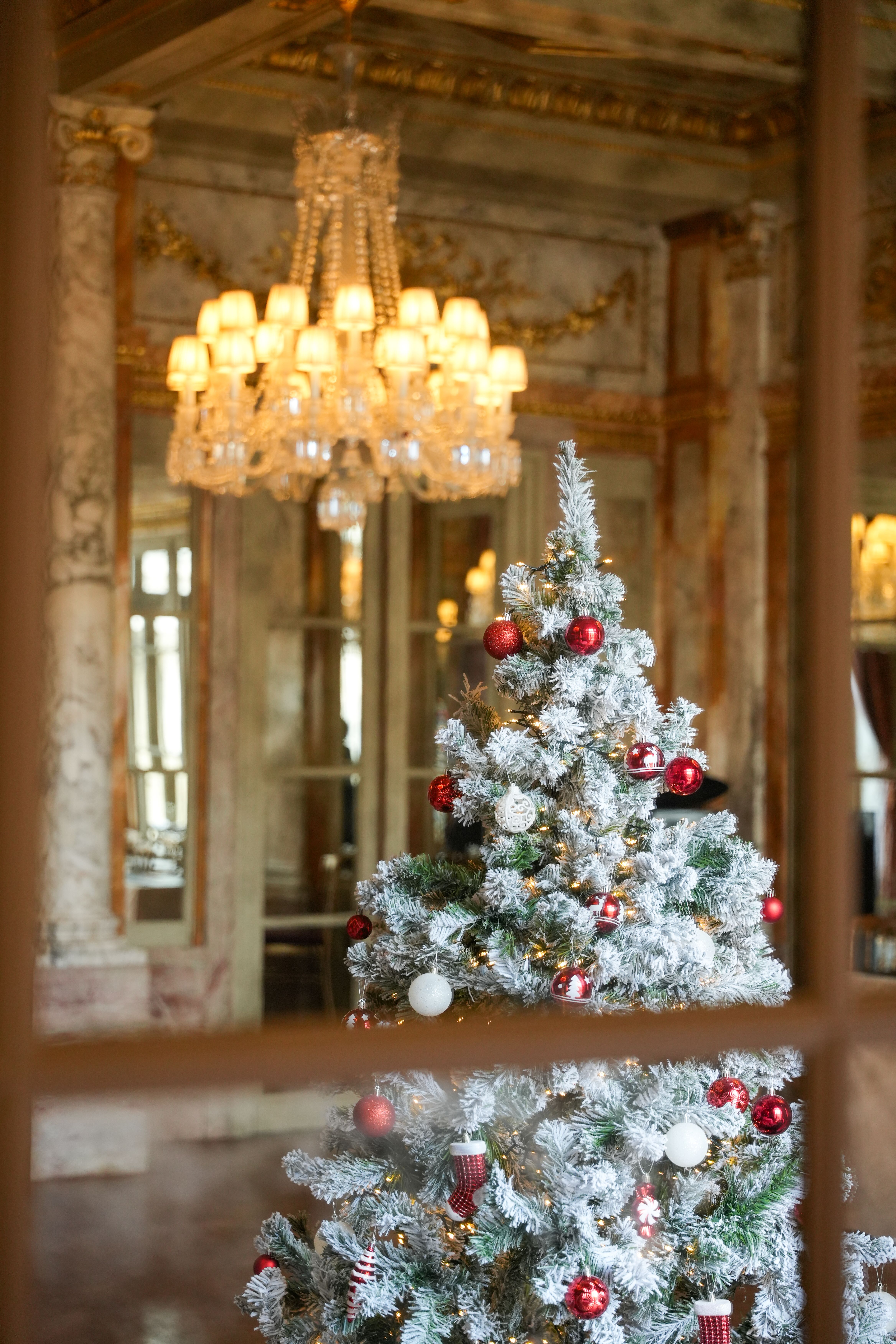 Noel_2025_@MarionEscalier-41