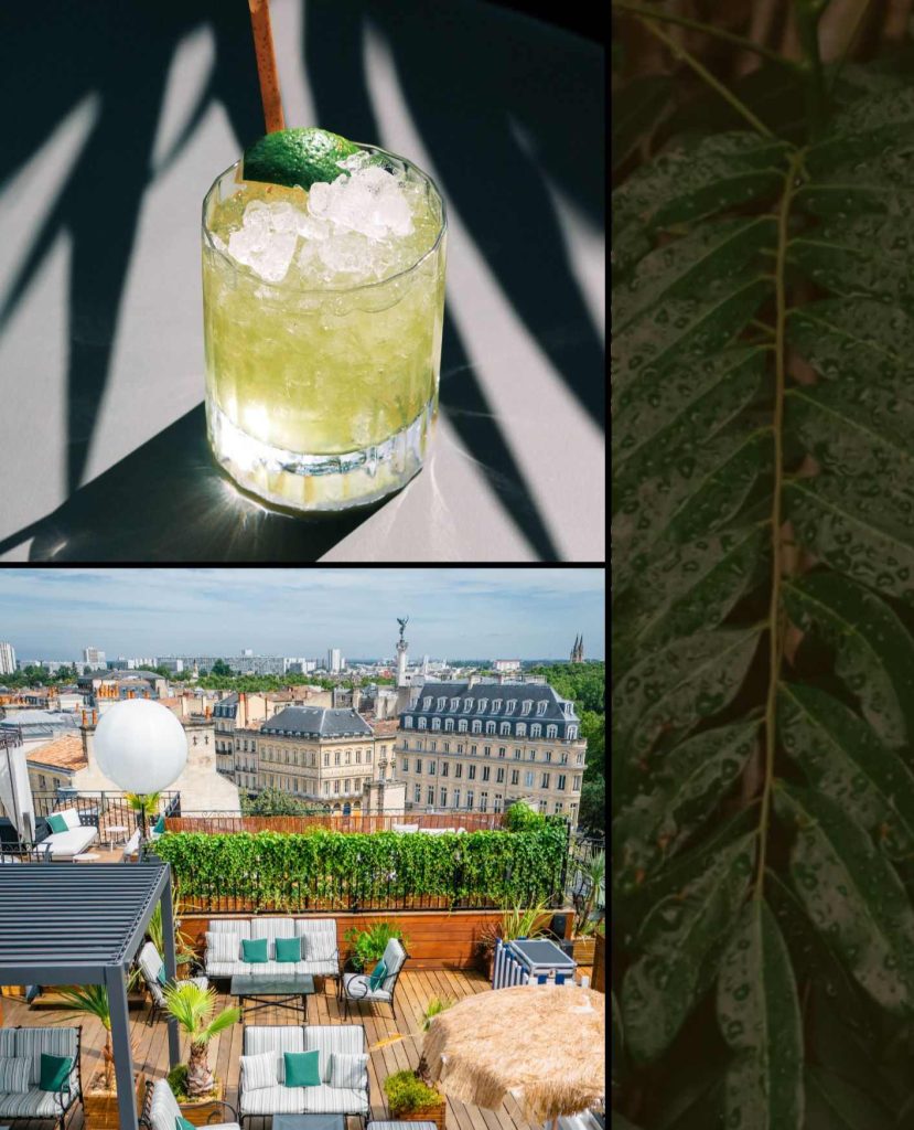 Logo Pura Vida El Ron de Costa Rica, rhum partenaire du Rooftop de l'InterContinental Bordeaux Le Grand Hôtel